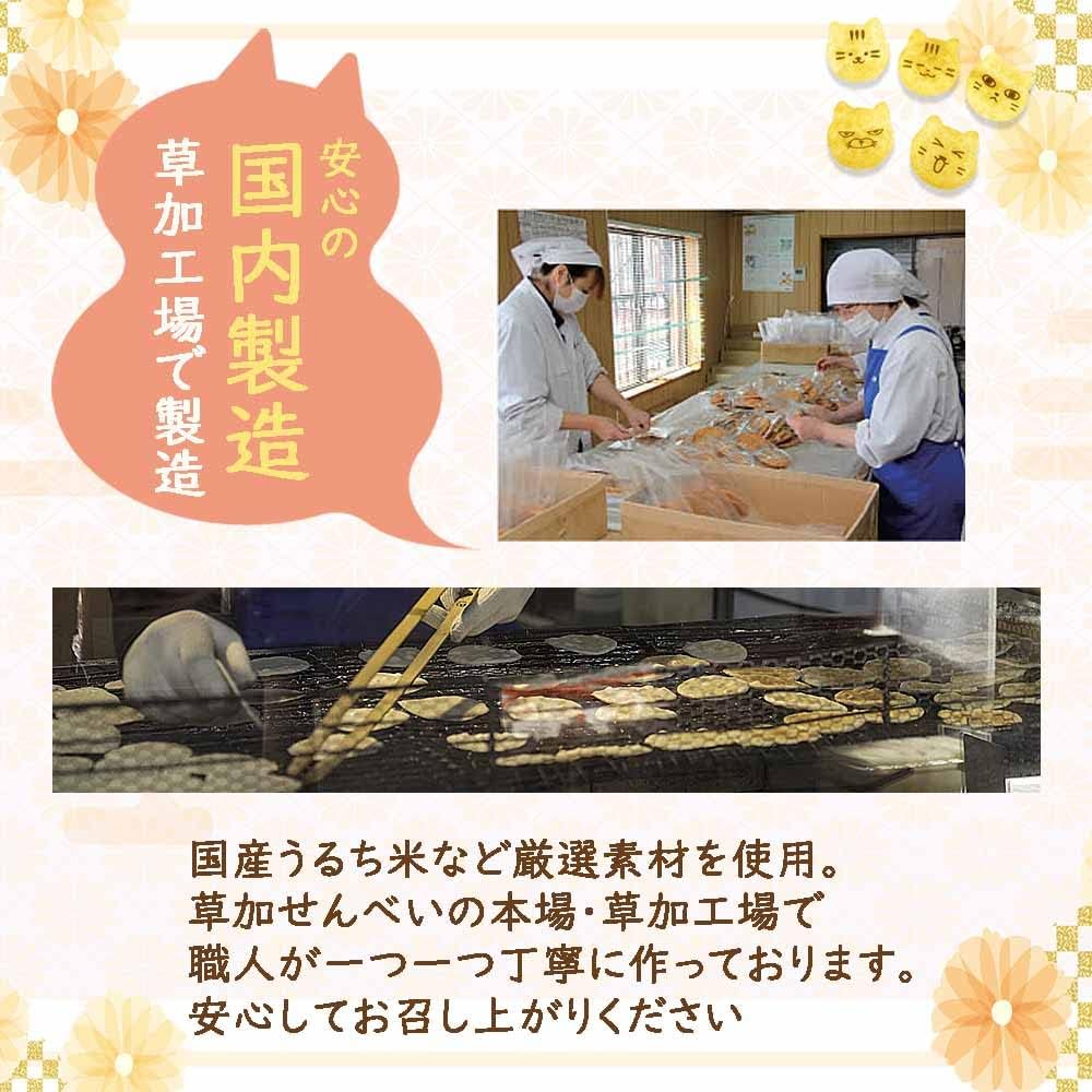 EarSmile Soy Sauce Flavored Cat Crackers, 20 Pieces per Box, Gift Packaging, Cat-shaped Snacks, Traditional Kasuka Senbei, Individually Wrapped, Japanese Rice Crackers, Cat Face Shape, Domestically