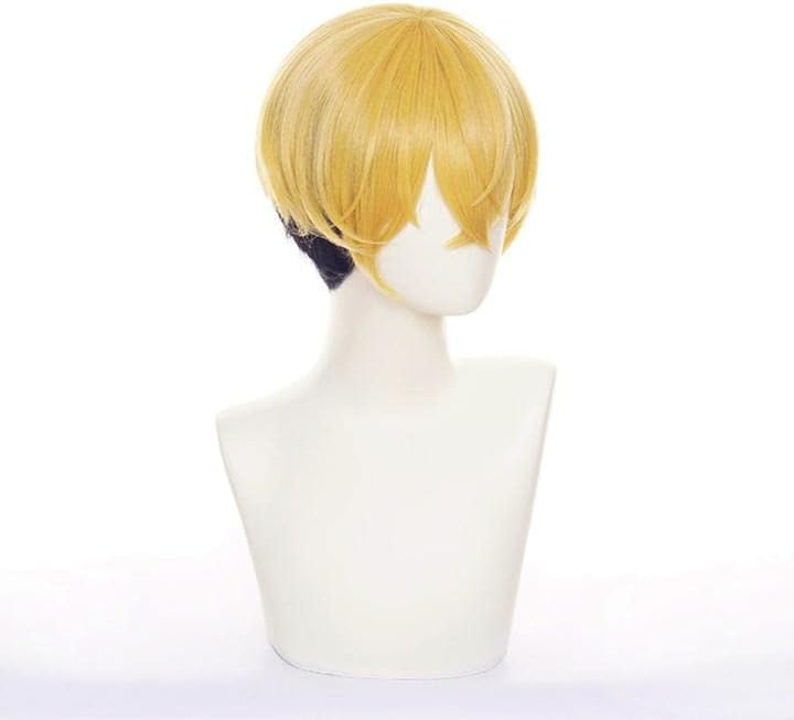 LVMEY Tokyo Revengers Cosplay Wig, Chifuyu Matsuno, Heat Resistant, Disguise Wig, Cosplay Wig, Wig Cosplay Costume, Comic Event, Halloween, Christmas, Cultural Festival, School Festival, Wig Net