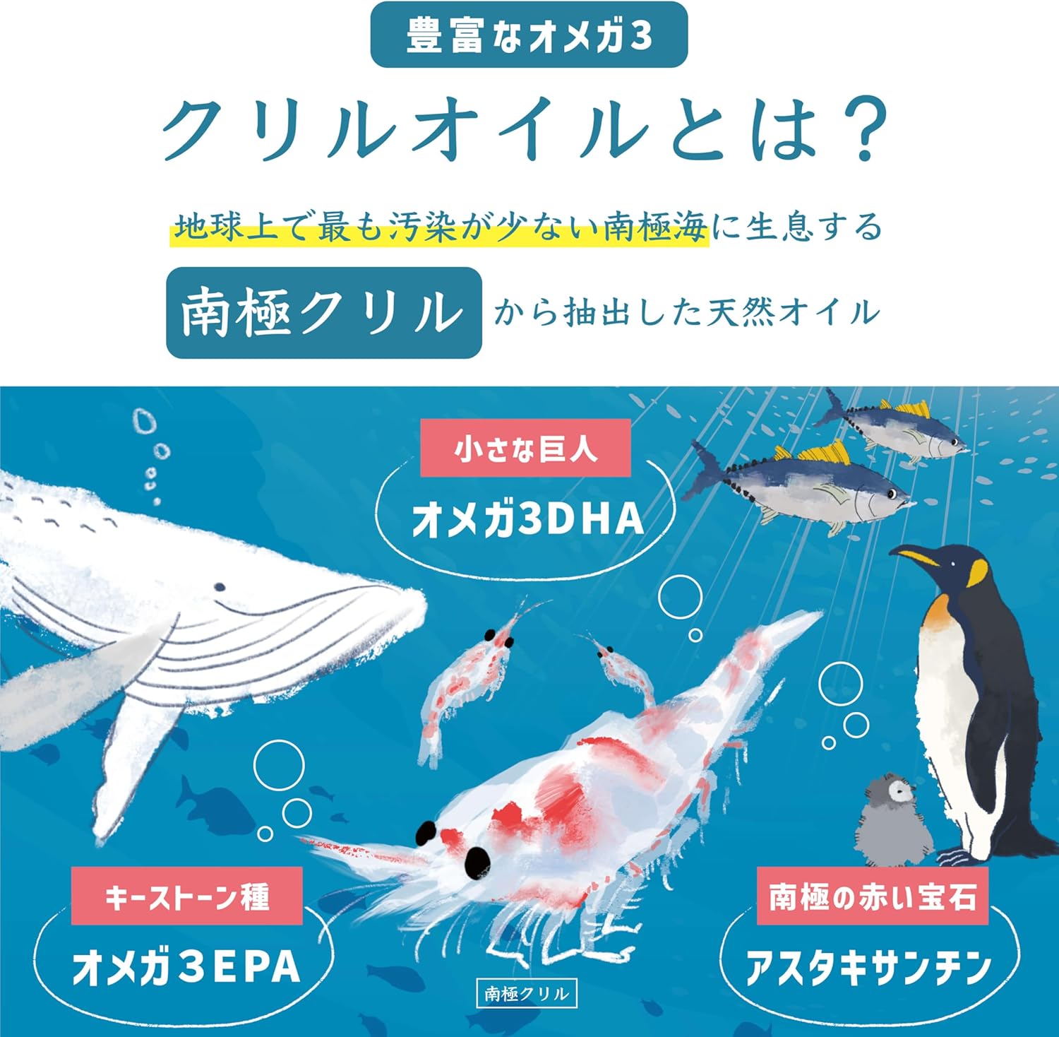 Whale Krill Oil, Kids Can Drink (Omega 3 DHA EPA / 100% Krill Oil), Made in Japan, 30 Days Supply (60 Days Supply for Children)