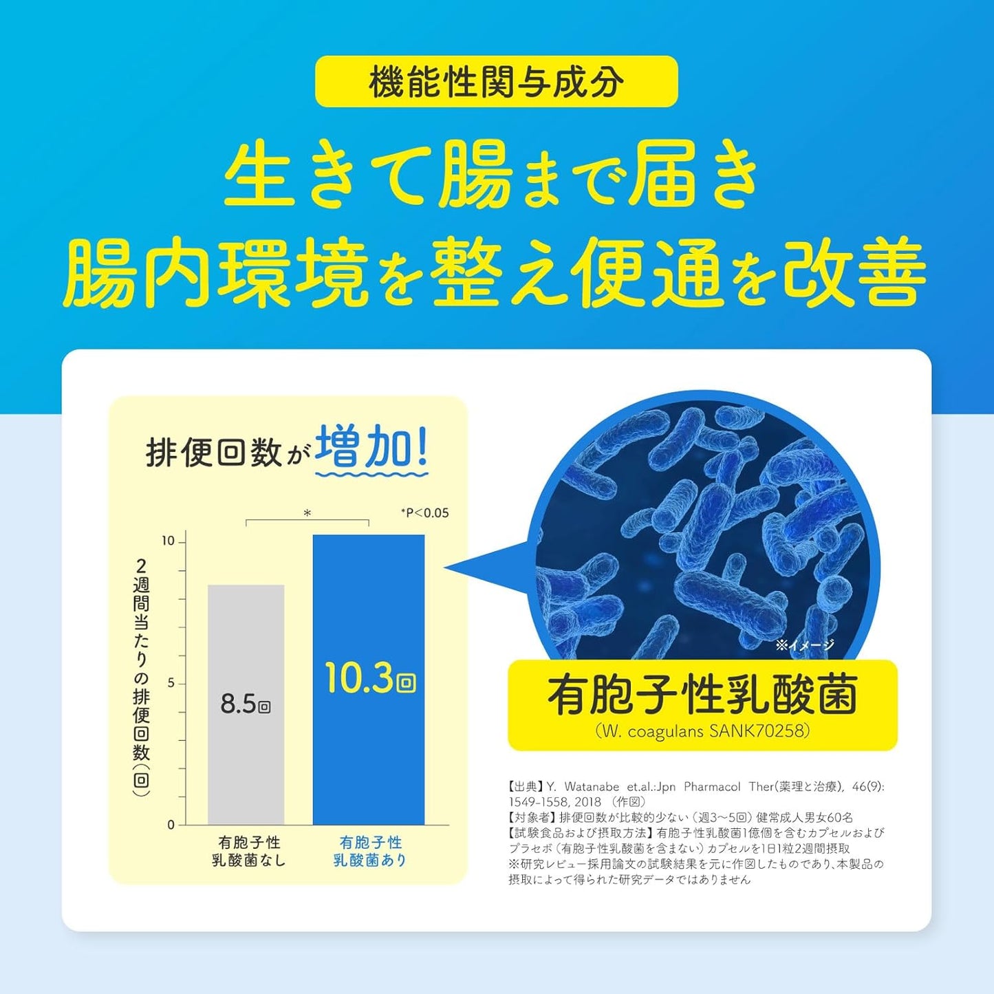 BORRA Amto Pharmaceutical Supplement, Good Bacteria, Probiotics, Increasing, Spores, Lactobacillus Bacteria, Prebiotics, Symbiotics, Supplement, Intestinal Activity, Intestinal Environment, Dietary Fiber, Oligosaccharide, Lacturose (Lactic Acid Bacteria)