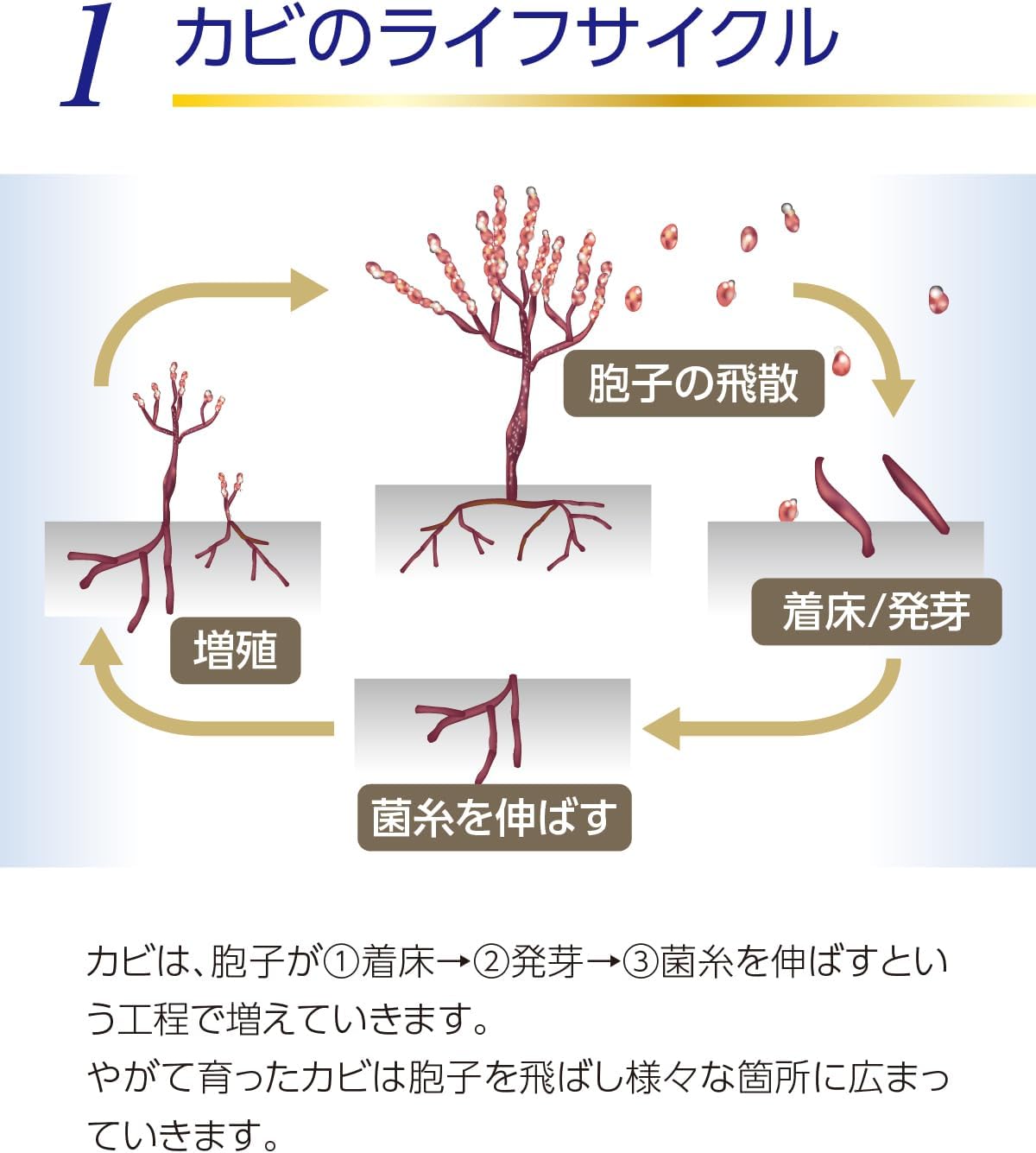 Kishishimashii Series Grout Joints, Rubber Gasket Prevents Mold! Mildew Resistant Craftsmen 1.7 fl oz (50 ml)