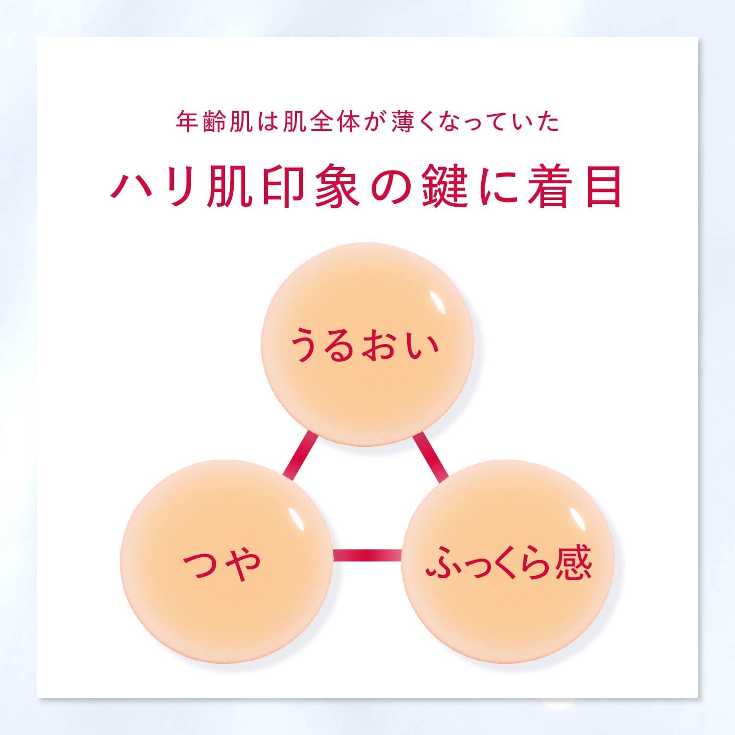 Astalift Advanced Lotion Lotion Refill (Approx. 2 Months Work, 4.1 fl oz (130 ml) [Official Store Limited] (Extra 0.3 fl oz (1 mL) Pouches Included 4) Moisturizing, Highly Moisturizing