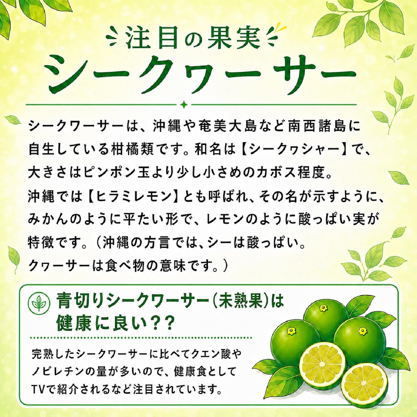 Ryukyu Front Chimudon Yamahara Seaquacer, 10.1 fl oz (300 ml) x 4 Bottles
