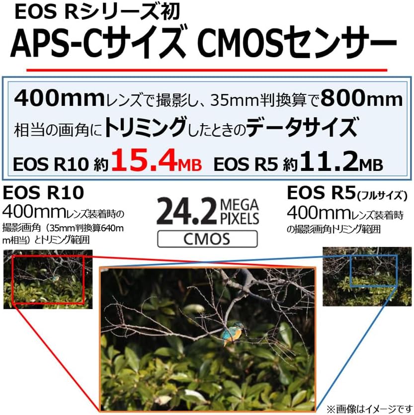 EOS R10, RF-S18-45 IS STM Lens Kit