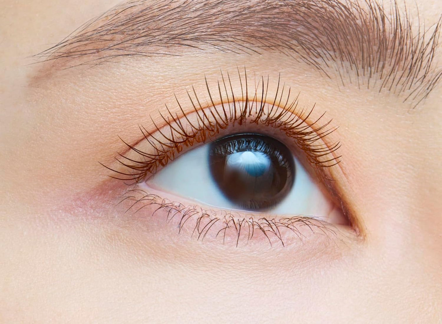 dejavu Dejavu Fiber Wig Ultra Long E2 Natural Brown Liquid 1 Piece (x1)