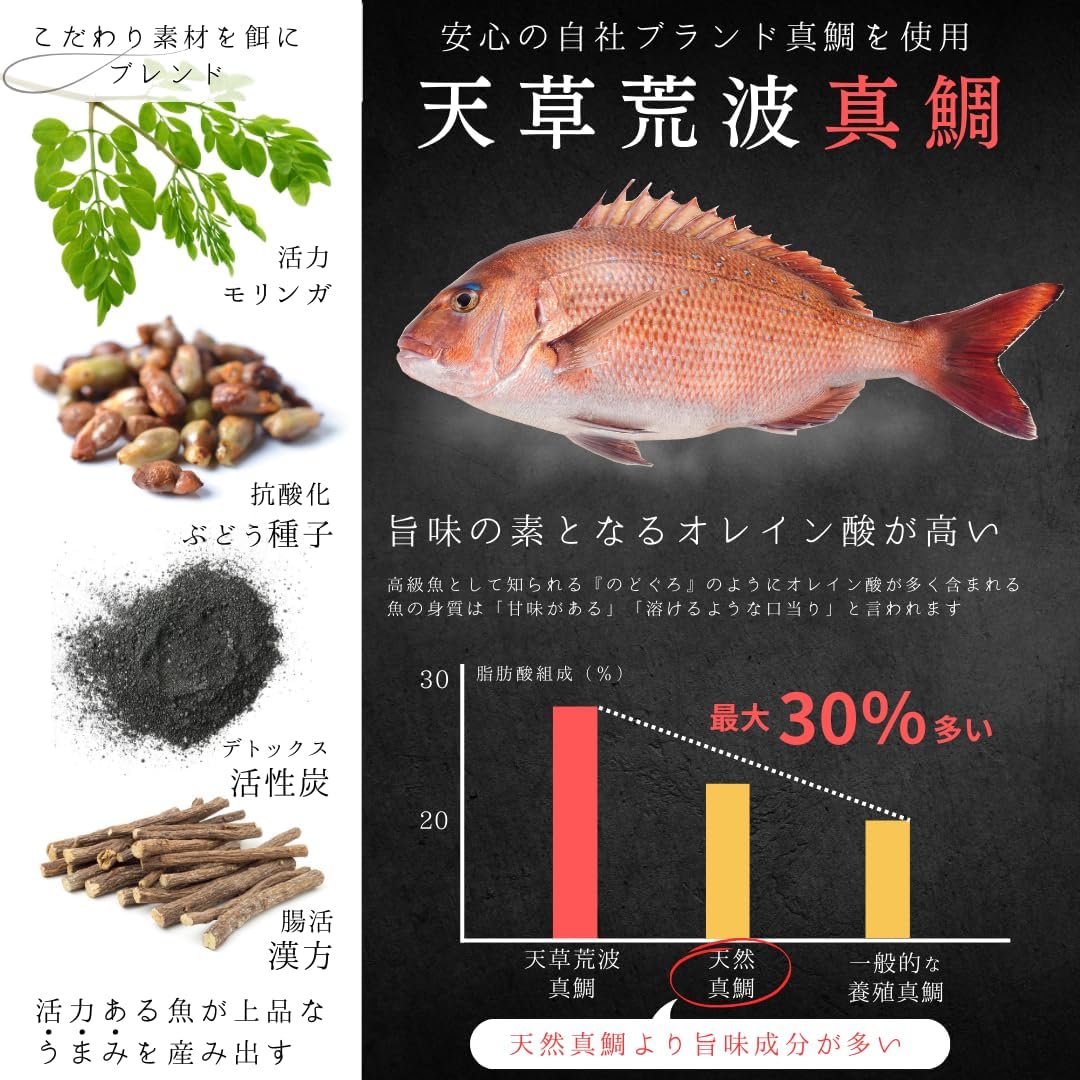 Kumamoto Aromusa, Fisherman's Offshore Red Snamper, Popular Gift, Gourmet with Snamper, Seafood Rice (Set of 5)