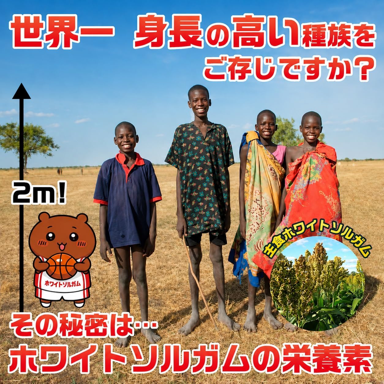 最後のひと伸び グミ 成長応援 世界一 身長の高い ディンカ族 ホワイトソルガム ぶどう味 100個 (100)
