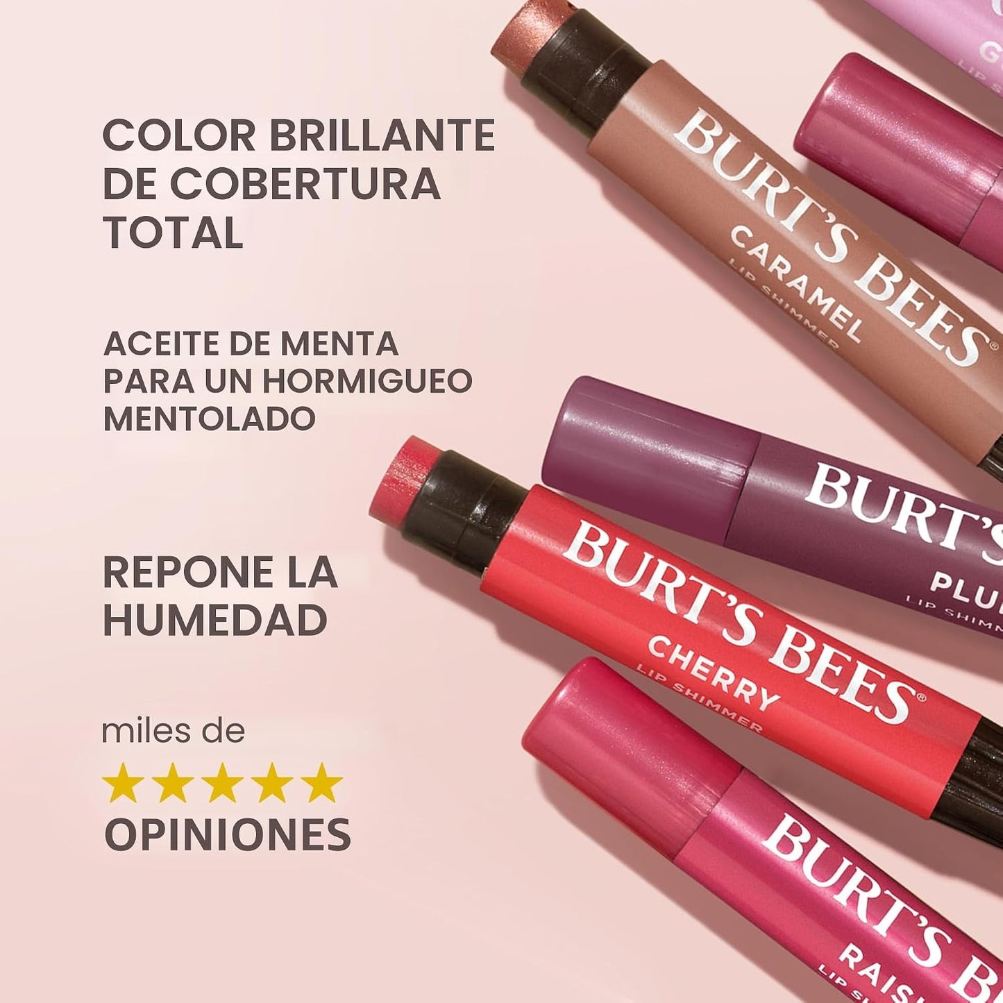 Burt's Bees Shimmer - Juego de tintes labiales, regalos para el día de la madre, barra de bálsamo labial tintado, hidratante para hidratación durante todo el día con acabado pigmentado brillante de