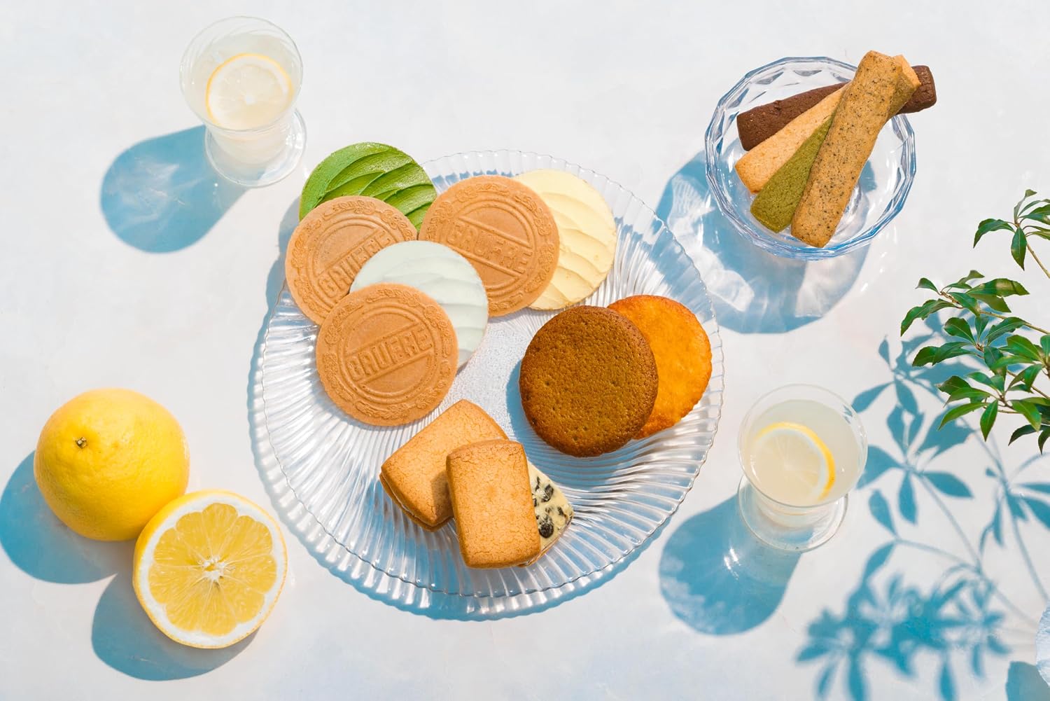 Uenogudo Sweet Selection 11 Types of 14 Pieces, Summer Gift, Mid-Year-Round Sweets, Sweets, Baked Confectionery, Present, Ueno Kogudo Summer, Coconut Milk, Matcha Citrus, Retirement, Inner Celebration