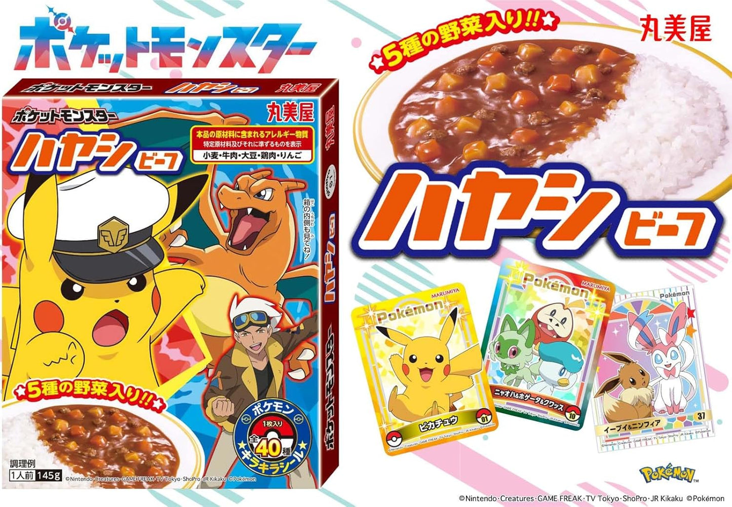 Marumiya Pokemon Hayashi Beef, 4.9 oz (145 g)