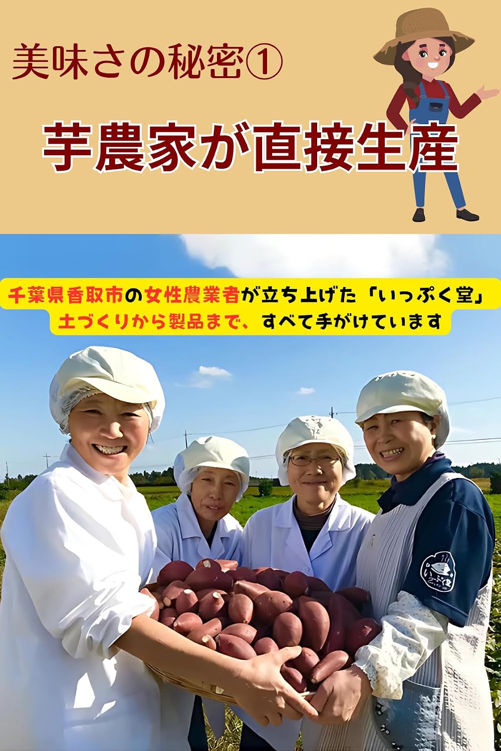 Chiba Prefecture Red Haruka Dried Potato, 3.5 oz (100 g), 3 Bags