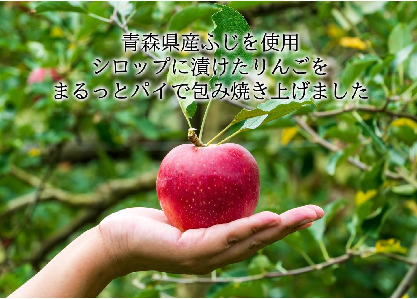 Raguno Sasaki Apple, Apple, Ragnoo, 1 Apple, Aomori, Apple Pie