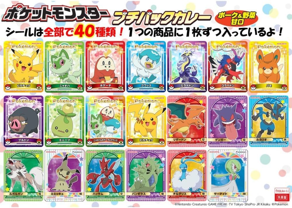 Marumiya Foods Industry Pokemon Petit Pack Curry Pork & Vegetables Mild 120g x 10 Boxes