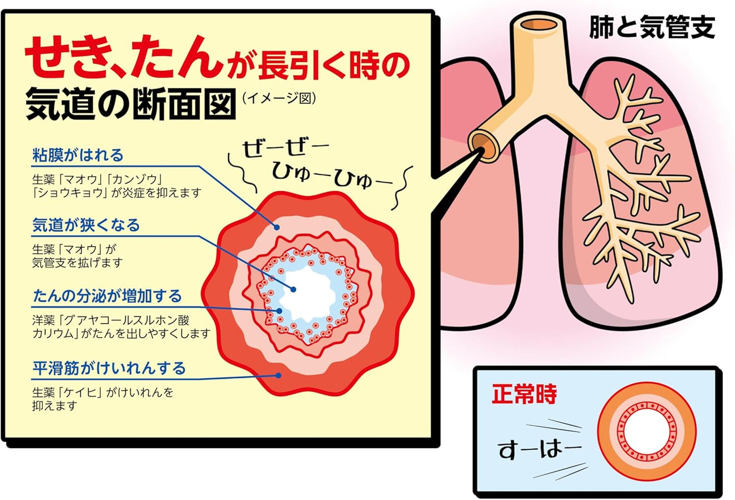 【指定第2類医薬品】喘妙錠A 96錠