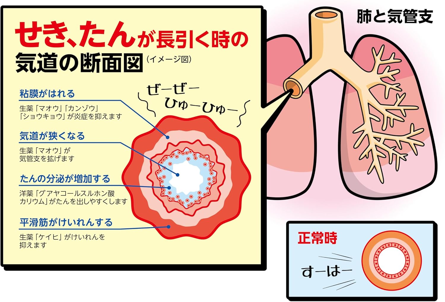 【指定第2類医薬品】喘妙錠A 96錠