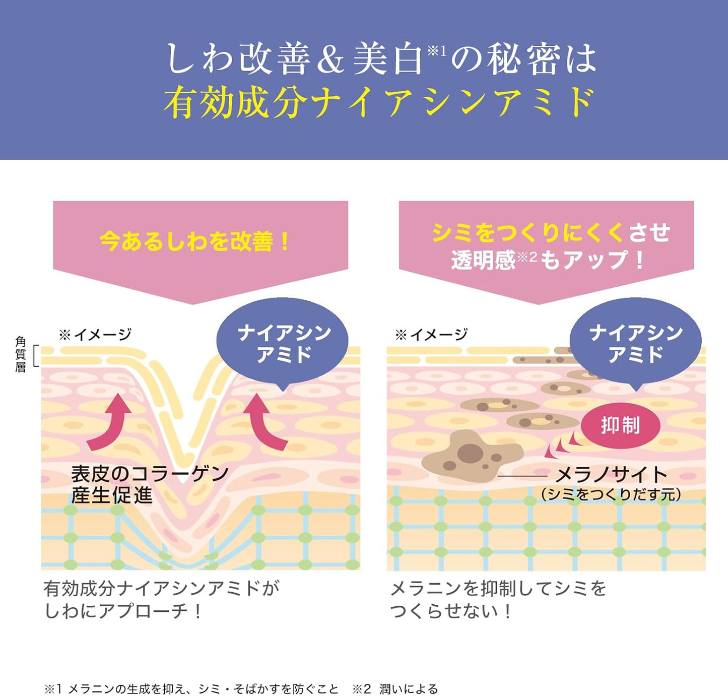 Wrinkle White Cream (1.2 oz (35 g) / Approx. 2 Months Supply, Skin Care, Collagen, Hyaluronic Acid, Skin Care, Niacinamide, Wrinkles, Whitening, Moisturizing, Beauty Ingredient, Protection and