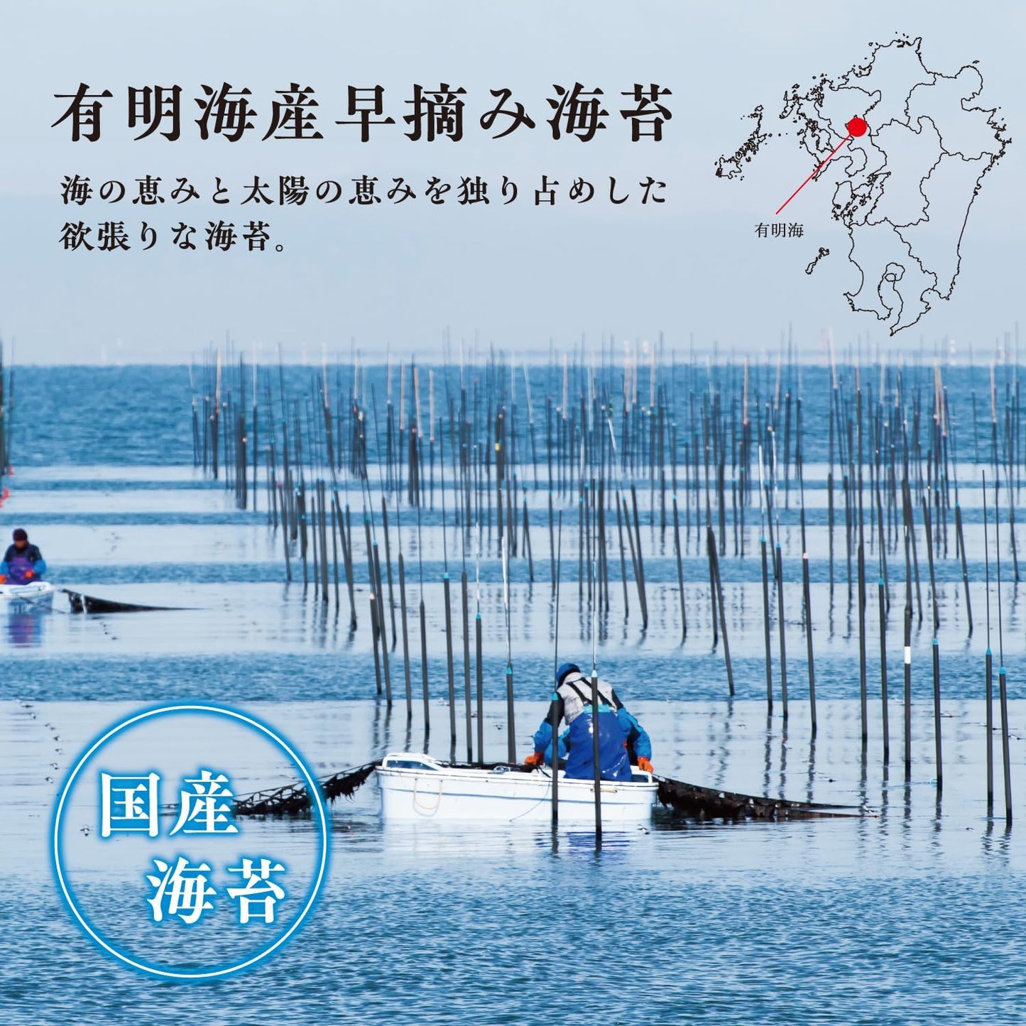 Kanewa Seaweed, Premium Flavored Seaweed, 10 Pieces, 80 Sheets