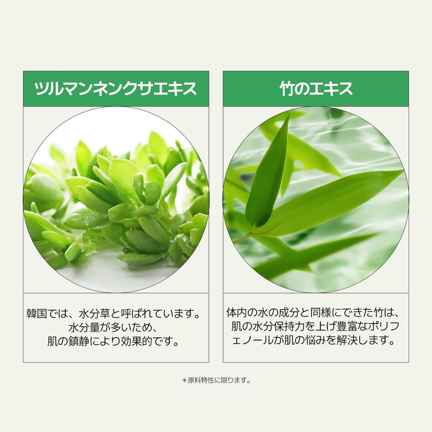 Veganifect Official Clean & Glow Moisture Cream 50g / Moisturizing Care, Mildly Acid, Skin Care