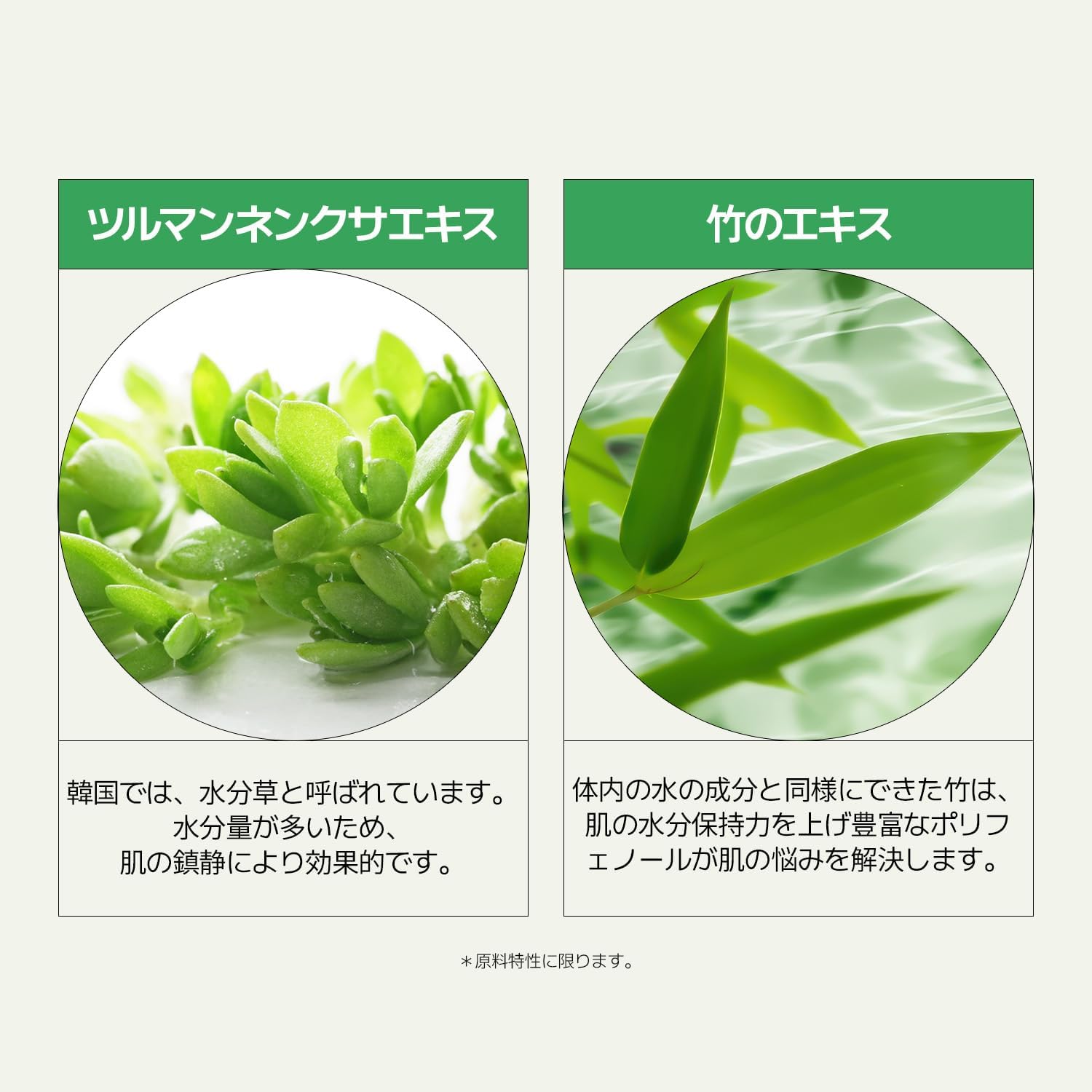 Veganifect Official Clean & Glow Moisture Cream 50g / Moisturizing Care, Mildly Acid, Skin Care