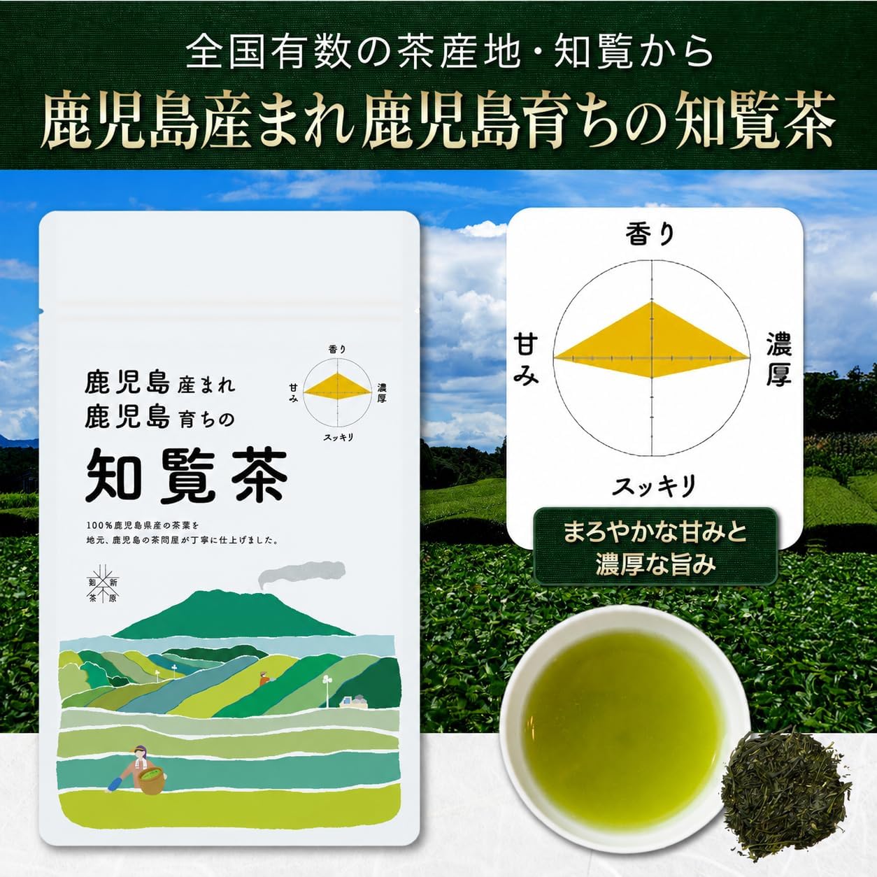 【Tea Merchant with 100 Years of History - Carefully Selected】Sencha Tea Leaves 3 Types Tasting Comparison Set, Tea Leaves Cold Brew Compatible【100% Kagoshima Prefecture Produced with Expert Roasting