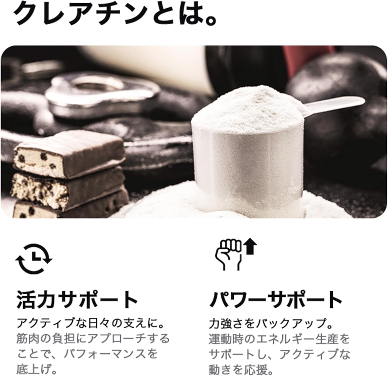 SAIJIRUSHI Creatine Monohydrate Powder Domestically Manufactured (500g)