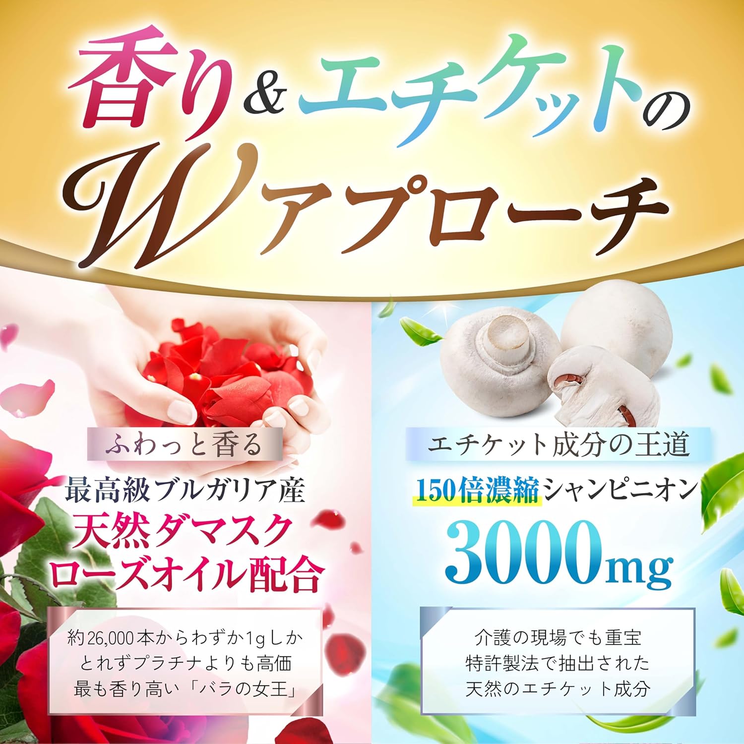 【Physician-Supervised】Delicate Zone Supplement 【Selected Etiquette Ingredients such as Bulgarian Rose Fragrance x Champignon】【24 Types of Lactic Acid Bacteria x 36 Billion Units Necessary for Femcare