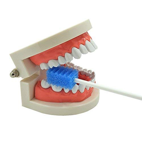 Hisopos de cuidado bucal desechables - Azul 100 unidades