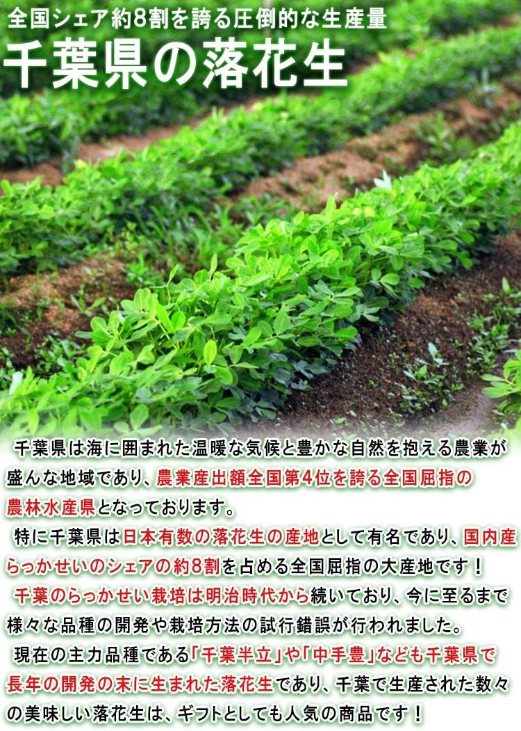 Authentic Yachachi Karatsuki Peanuts from Chiba, Made in Chiba, 5.3 oz (150 g)