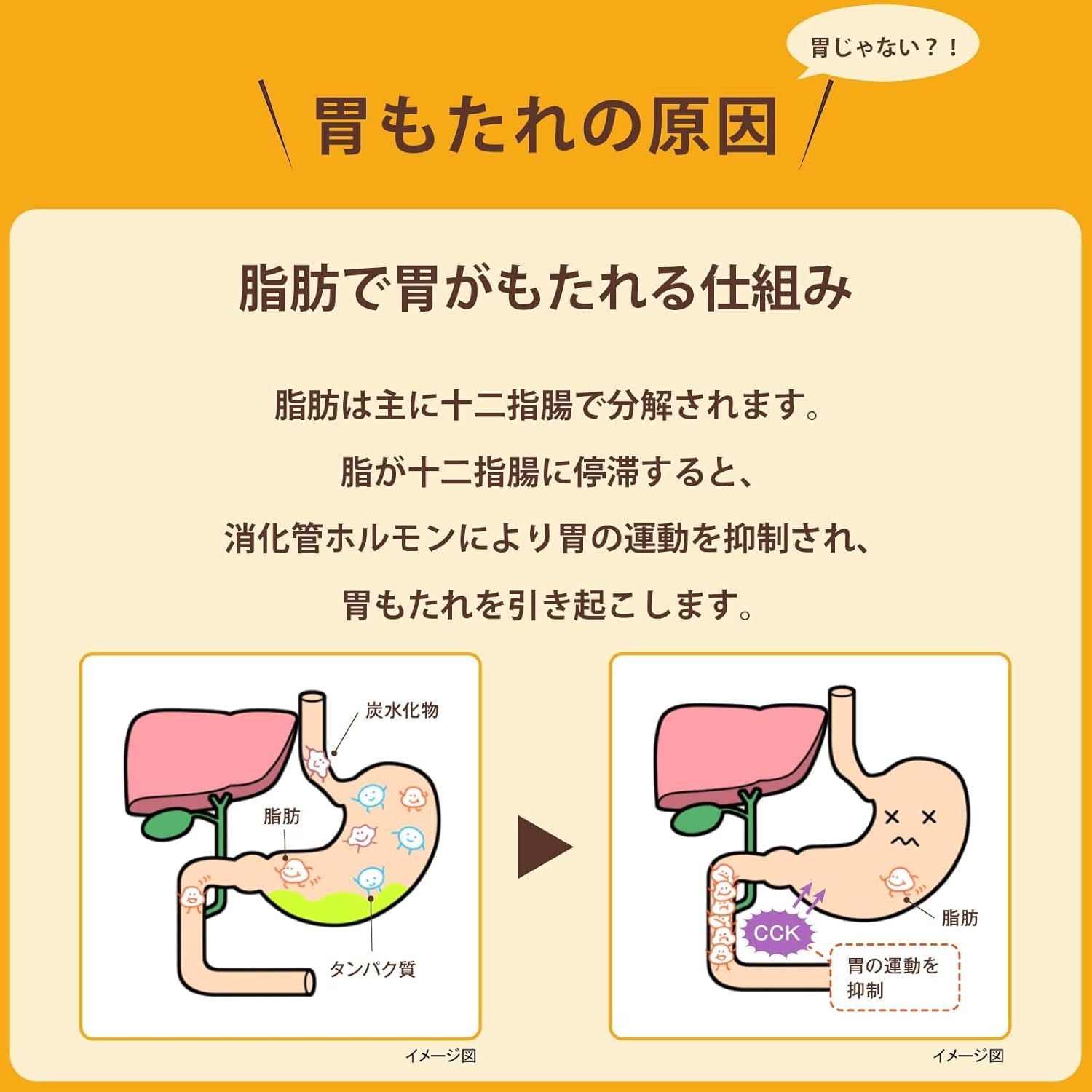【第3類医薬品】タナベ胃腸薬ウルソ 60錠