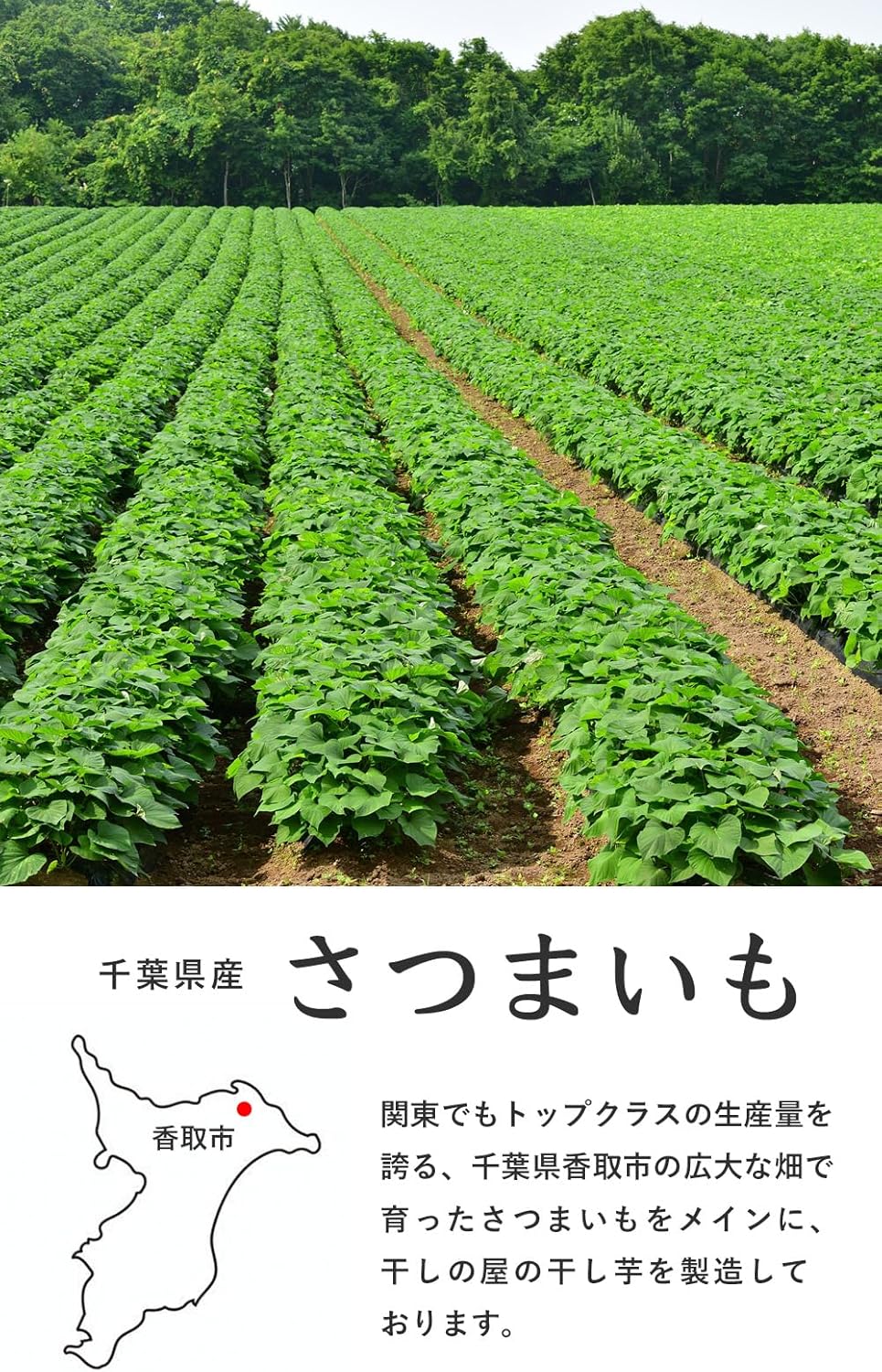 Kanshi-no-ya Dried Sweet Potato 40g x 4 Packs, Chiba Prefecture Produced, Using Beniharuka, Additive-Free, Colorless, Perfect for Snacks, Dried Sweet Potato, 40g x 4 Set, Domestically Grown