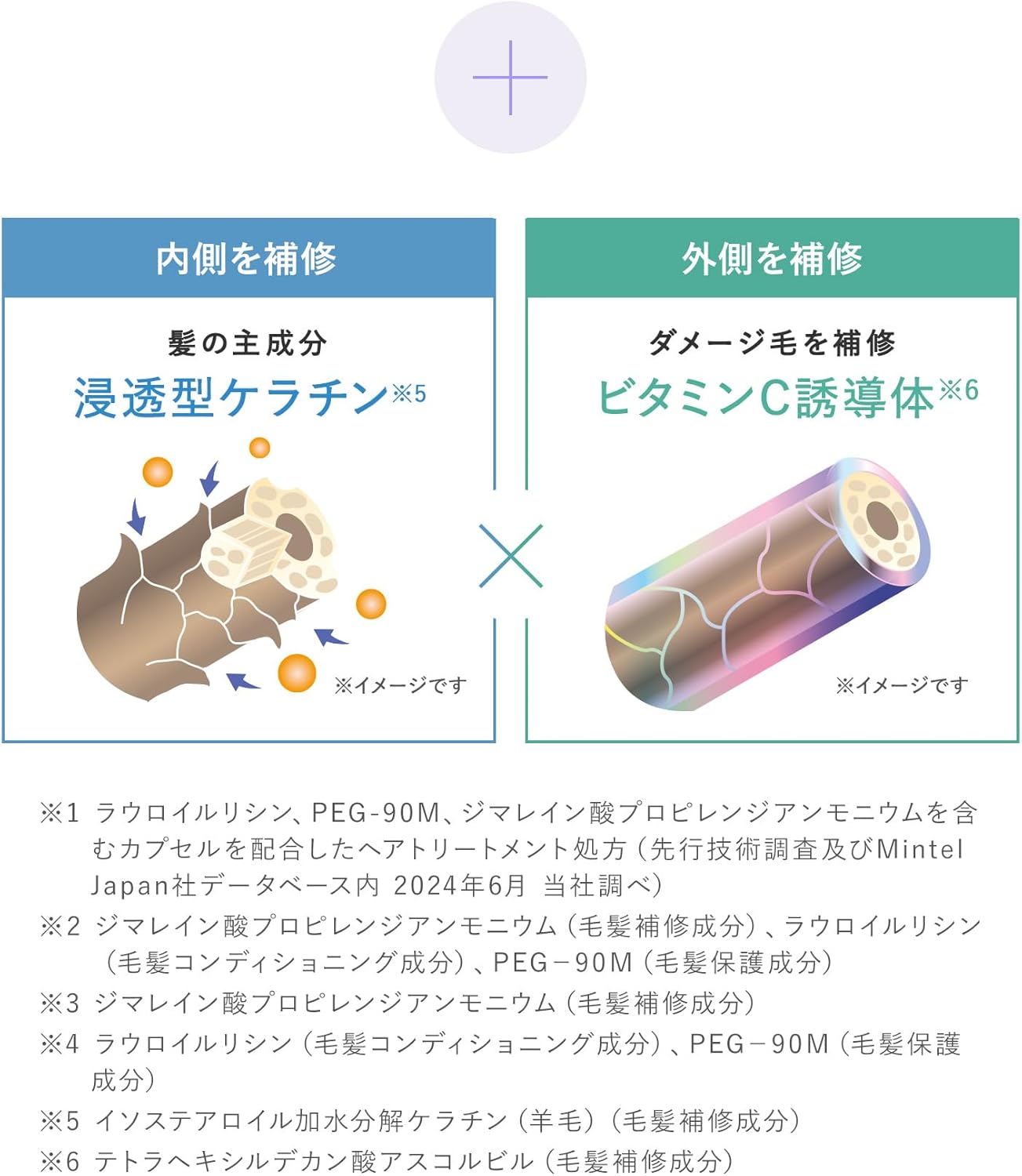 [2025 Summer Exclusive] Qurap Curup Hair Mask, Wrapping Serum, Treatment, Prism Edition