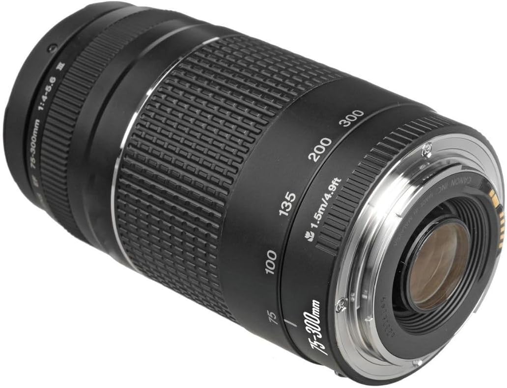 Canon EF 75 – 300 mm f / 4 – 5.6 III望遠ズームレンズfor Canon SLRカメラ、6473 a003 (認定Refurbished )