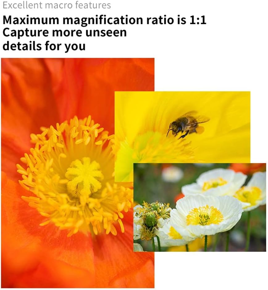 7artisans 60mm F2.8 MarkII Macro Manual Focus Camera Lens APS-C Mirrorless Camera Lens Leica T Leica TL Leica TL2 Leica Cl Sigma FP