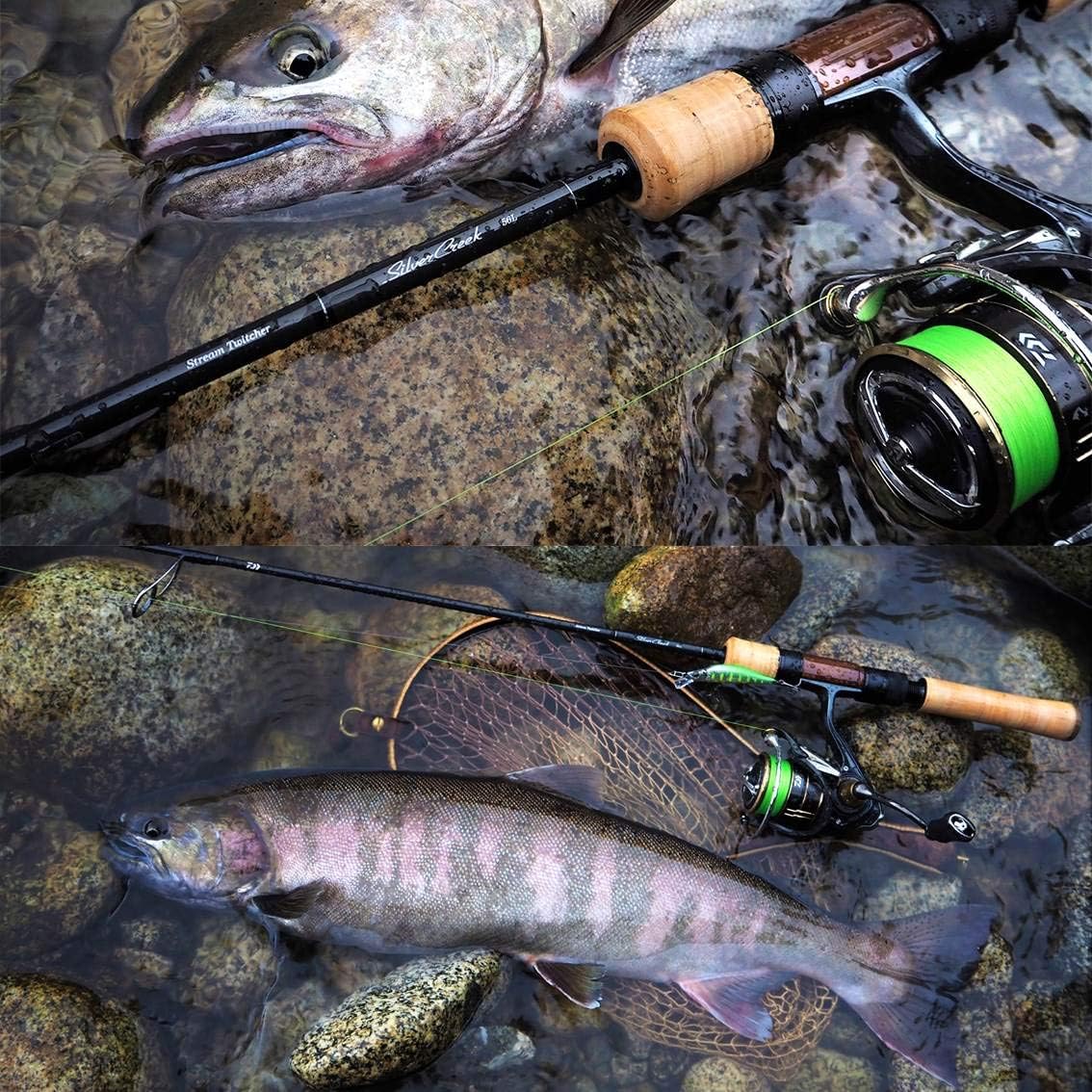 ダイワ(DAIWA) スピニングリール 19 バリスティック FW LT (2019モデル)