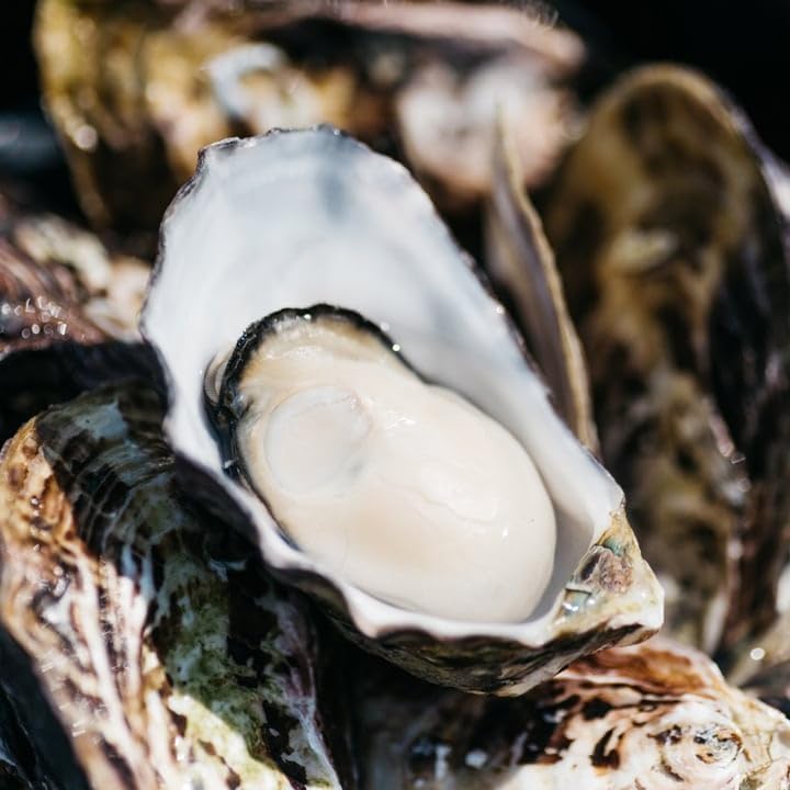 Oysters Pickled in Olive Oil in Nakatsu City, Kyushu, Oita Prefecture, Brand Oyster Higata Bijin, 4.4 oz (125 g)