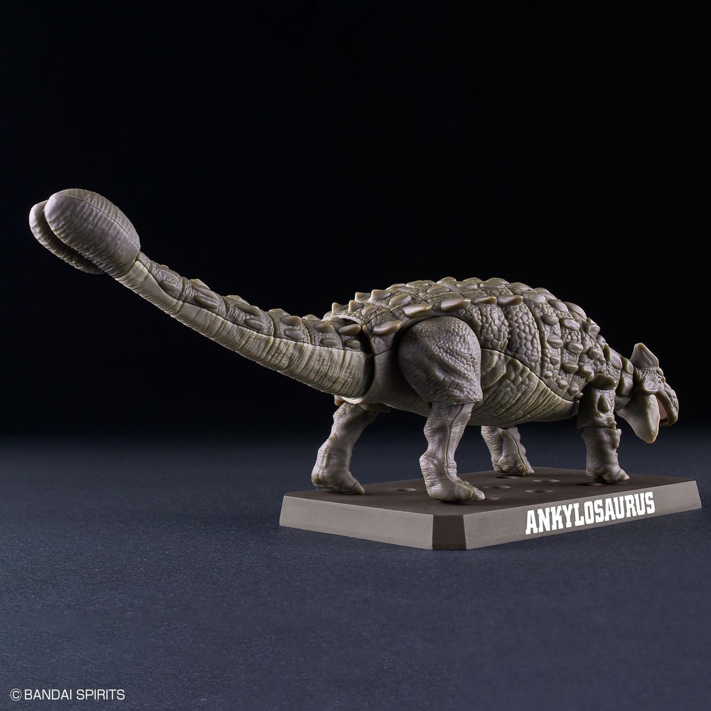 Bandai Spirits Planosaurus Ankyrosaurus Color Coded Plastic Model