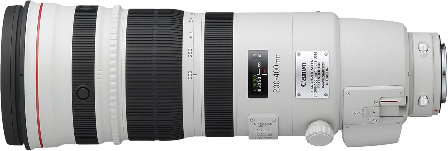 Canon EF 200-400mm f/4L IS USM Extender 1.4x