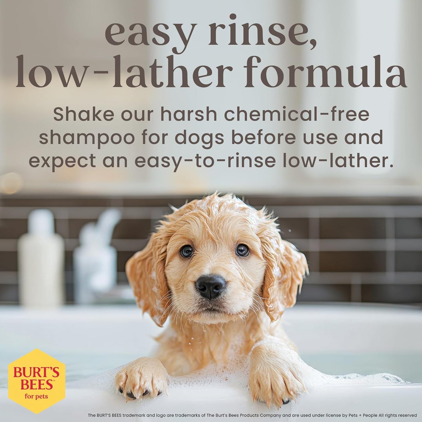 Burt's Bees for Pets Champú y acondicionador para cachorros sin lágrimas con suero de leche, champú suave 2 en 1 para cachorros, limpia y acondiciona la piel sensible, 16 onzas líquidas, paquete de 6