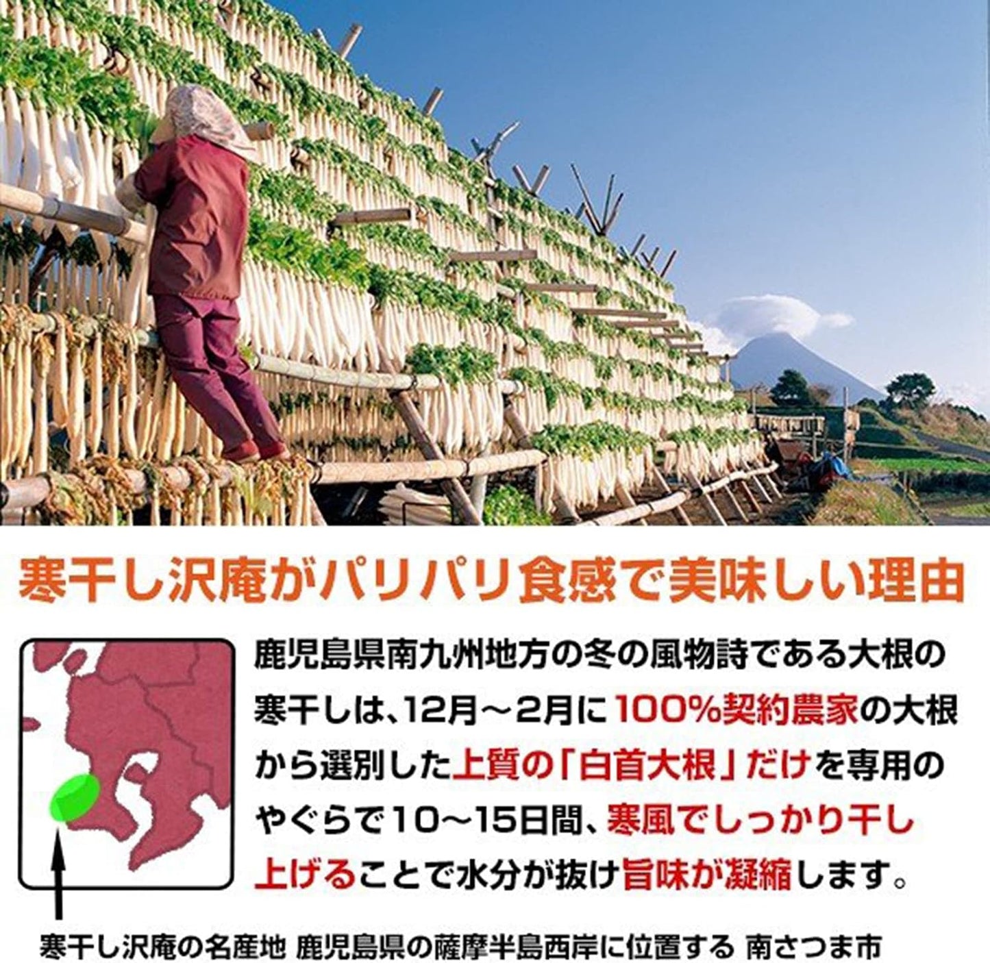 【Kyushu Kara no Okurimono】 3-Type Taste Comparison Domestically Produced Quick-Pickle Vegetables 200g Set Kyushu-Produced Snack Try-It Food To Order