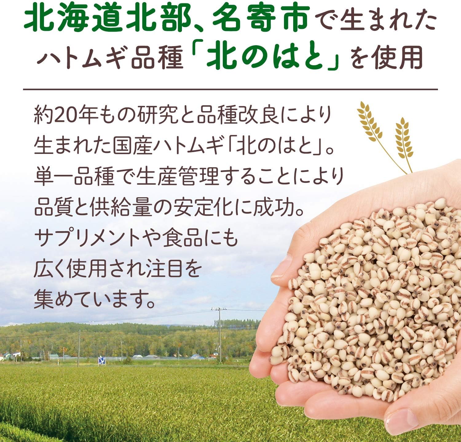 Crude Hokkaido Fermentation Aged Pearl Barley Gel Cream [3.5 oz (100 g)] All-in-One Gel (Uses Domestic Adley) Adley Extract, Aged Placenta Formula