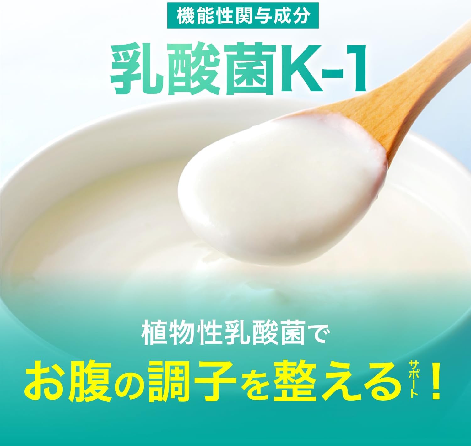 GABA K-1 Lactic Acid Bacteria & Ginkgo Leaf Blessing Food, Functional Claim, Convenient Intestinal Environment, Memory Power, Decision, Mental Stress & Fatigue, 60 Tablets