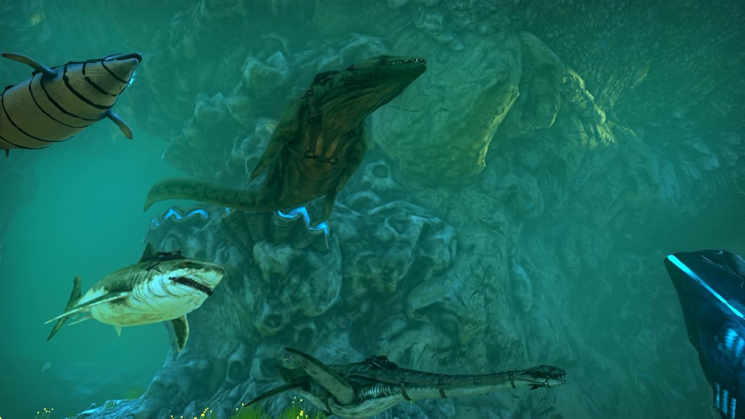 ARK: Survival Evolved（アーク:サバイバル エボルブド） -Switch