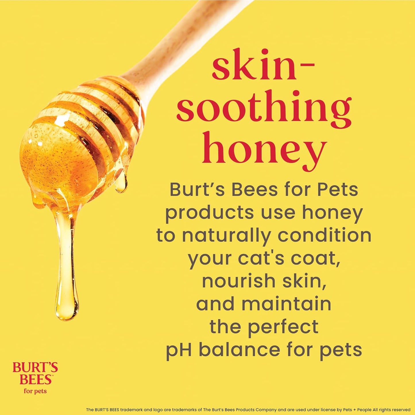 Burt's Bees for Pets Toallitas removedoras de caspa de gato, harina de avena coloidal y aloe para calmar la piel seca y reducir la descamación, paños de aseo sin perfume para gatos y gatitos, 50