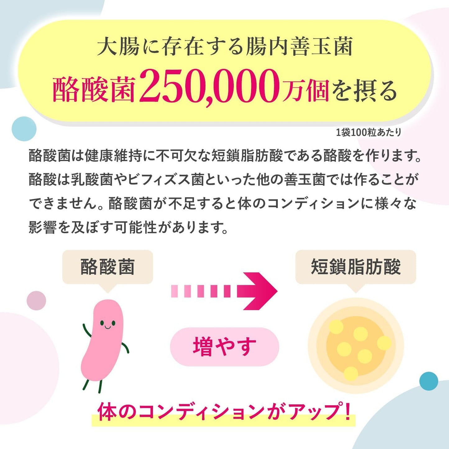Butyric Acid Bacteria, 2.5 Billion Pieces, Short Chain Fatty Acids, Lactobacilli, Bifidobacteria, Fructo-Oligosaccharides, Lactoferrin, 6 Types of Oligosaccharides, 100 Tablets, GMP Factory in Japan