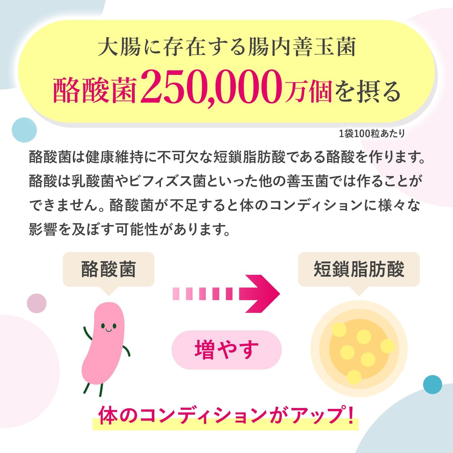 Butyric Acid Bacteria, 2.5 Billion Pieces, Short Chain Fatty Acids, Lactobacilli, Bifidobacteria, Fructo-Oligosaccharides, Lactoferrin, 6 Types of Oligosaccharides, 100 Tablets, GMP Factory in Japan