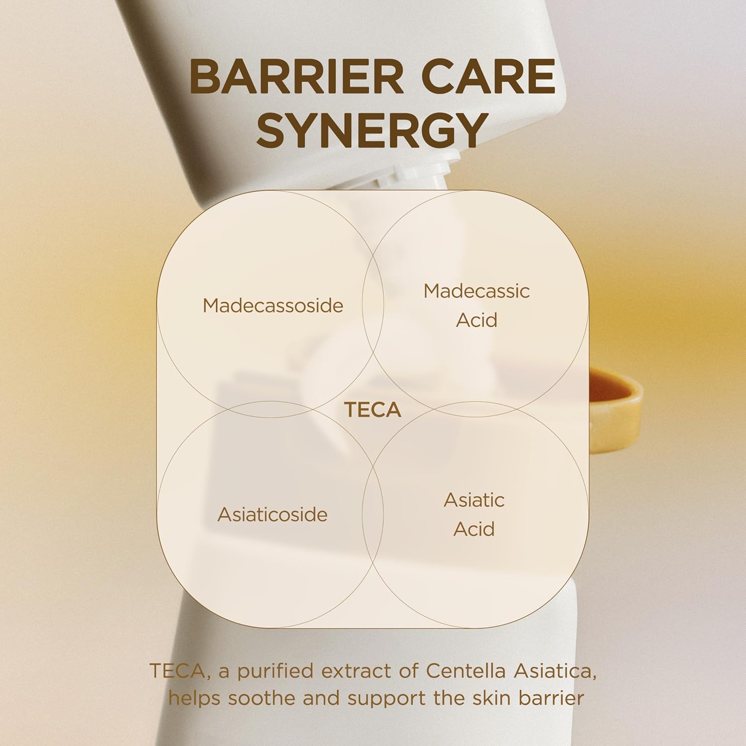 SKIN1004 Madagascar Centella Cream / SKIN1004 Madagascar Centella Cream 2.53 fl.oz Organic Ingredients Moisturizing Brightening