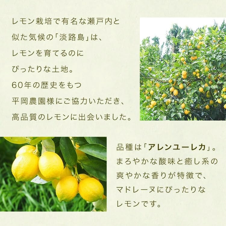 Henri Charpentier Gourd Gokoku Harvest Awaji Lemon Madeleine Baked Sweets, Popular Sweets, Gift, Individual Packaging, Present, Return, Family Celebration, Souvenir, Retirement, Pack of 10 | スイーツ お返し 焼き菓子 個包装 手土産 焼き菓子 退職 内祝い