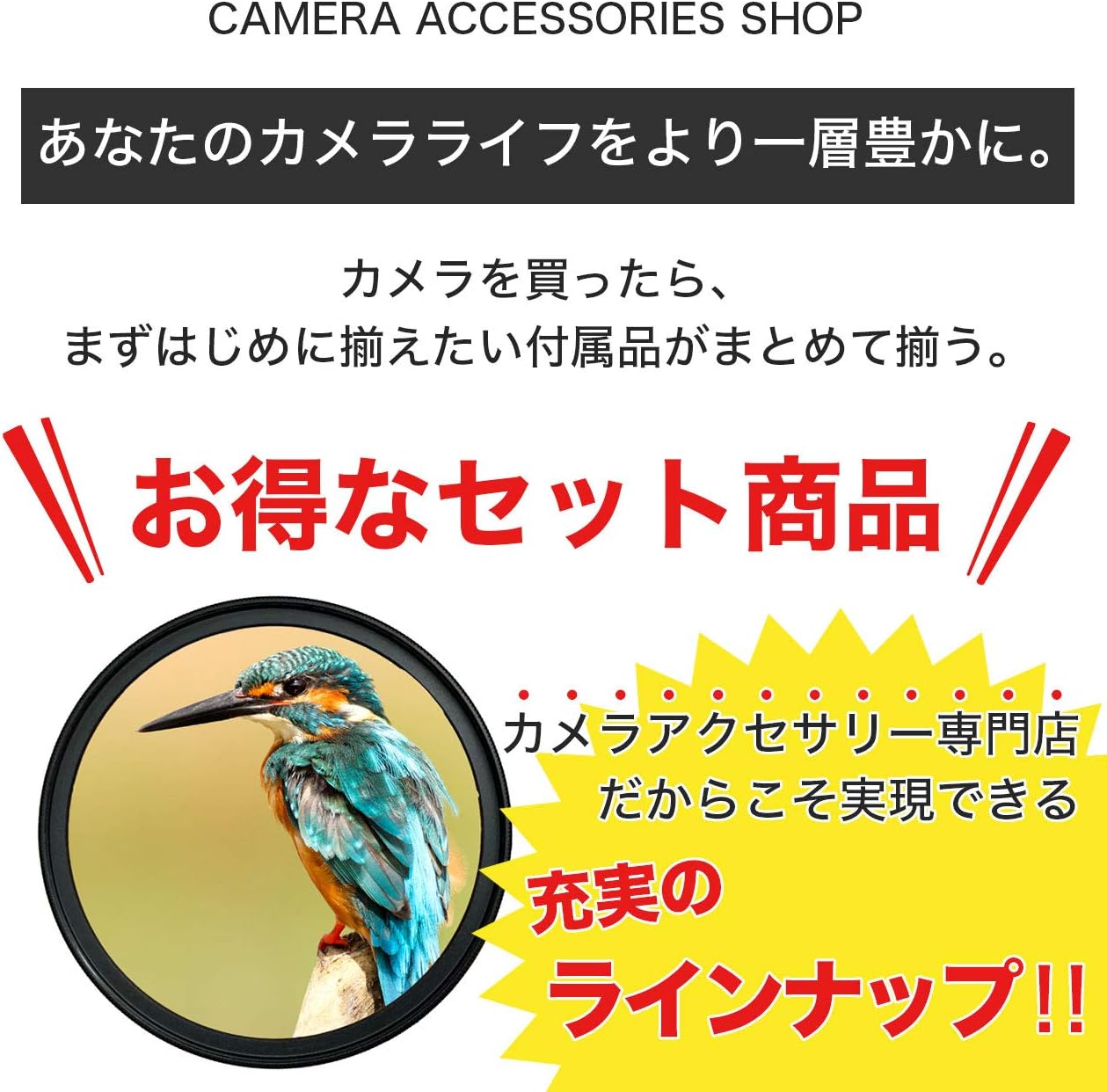 Canon キヤノン EOS Kiss X7 ダブルズームキット用 [ 互換レンズフード EW-63C ET-60 58mm フィルター 4点セット ]