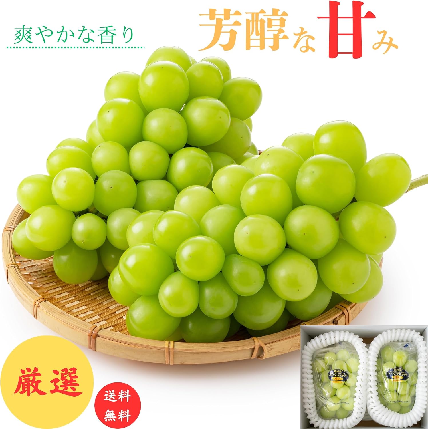 Shine Muscat Haruo Okayama Prefecture 14.1 oz (400 g) x 2 Bunches, Gift, High Sugar Content for Home, Grapes, Muscat, Medium Size, Sweet, Excellent