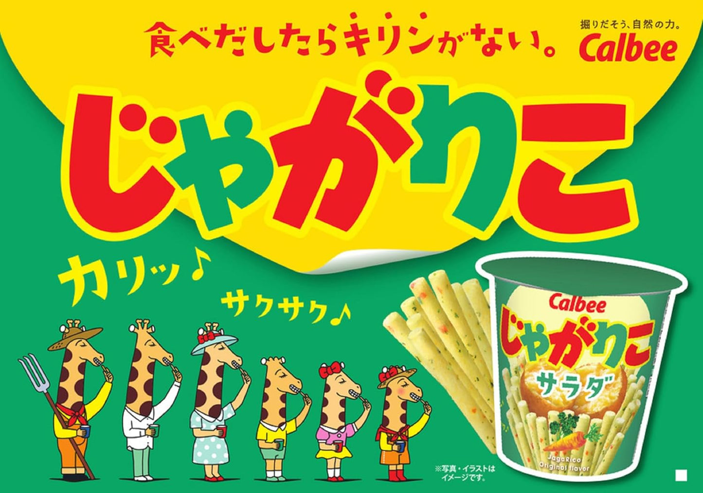 Calbee Jagarico Salad Bits Omori 100g×12 bags